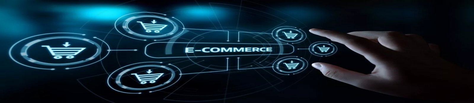 E-Ticarət Saytlarının Hazırlanması