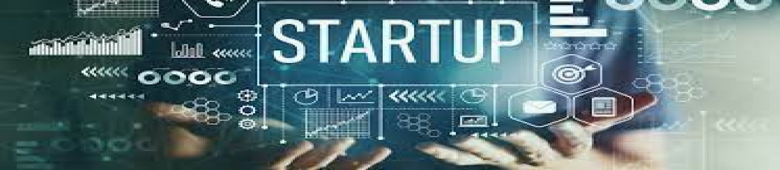 Startaplara Veb Sayt Dəstəyi – Mamedoglu Group ilə Uğura Doğru Addım Atın!